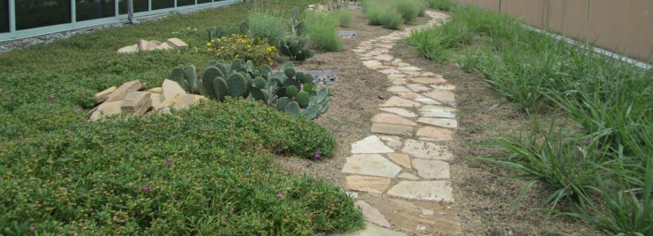 greenroof maintenance, greenroof installation, GRP, Greenroof Professional, Greenroof Consultation, Greenroof Contractor, washington DC